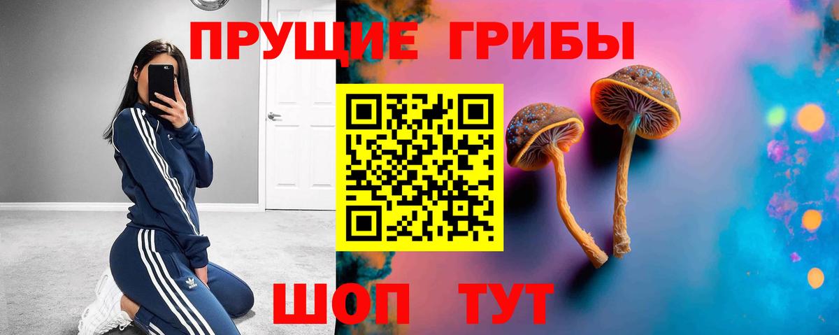 Галлюциногенные грибы мицелий  Псилоцибиновые грибы мицелий  Десногорск  Вход с VPN 
